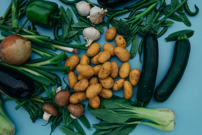 a bunch of vegetables sitting on top of a blue surface, unsplash, lush greens, potatoes, avatar image, no cropping