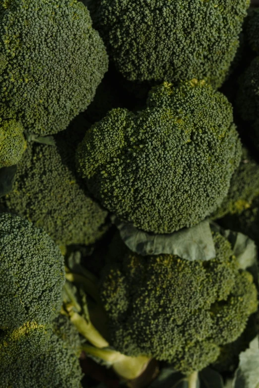 a close up of a bunch of broccoli, an album cover, pexels, craters, dark green, caucasian, made of glazed