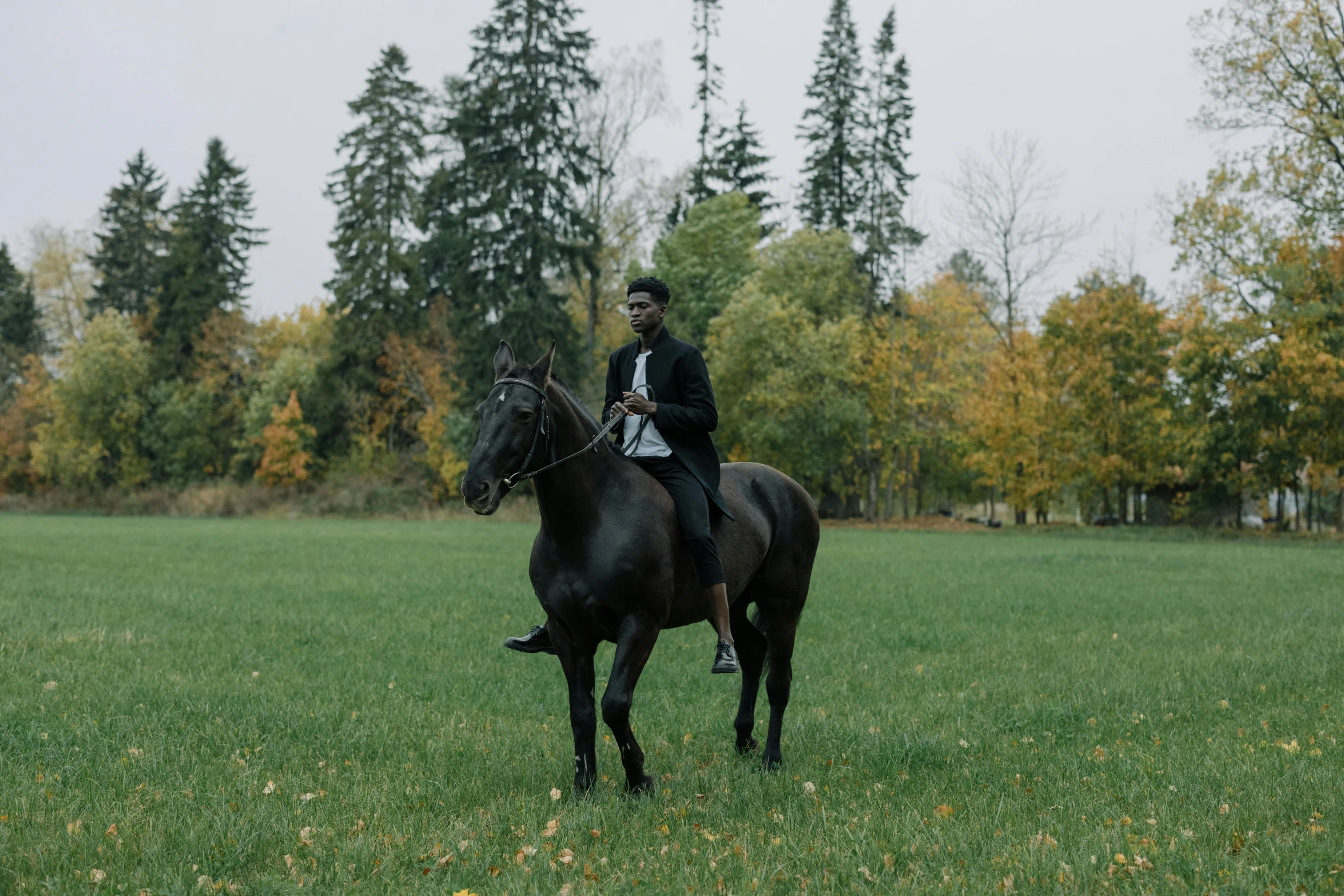 a man riding on the back of a black horse, an album cover, pexels contest winner, african canadian, near forest, standing elegantly, pastures