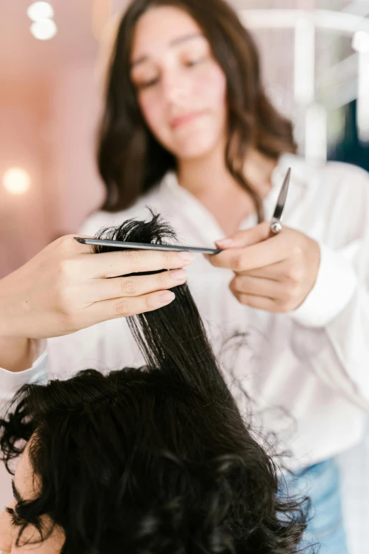 a woman getting her hair cut by a hair stylist, by Nicolette Macnamara, painstaking detail, half length, woman with black hair, bedhead