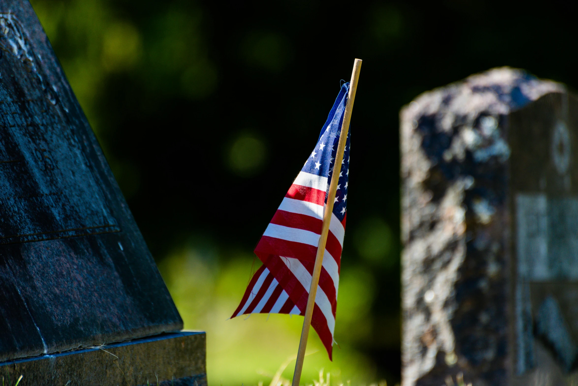 a small american flag sticking out of a grave, a portrait, unsplash, profile image, tourist photo, slide show, a small