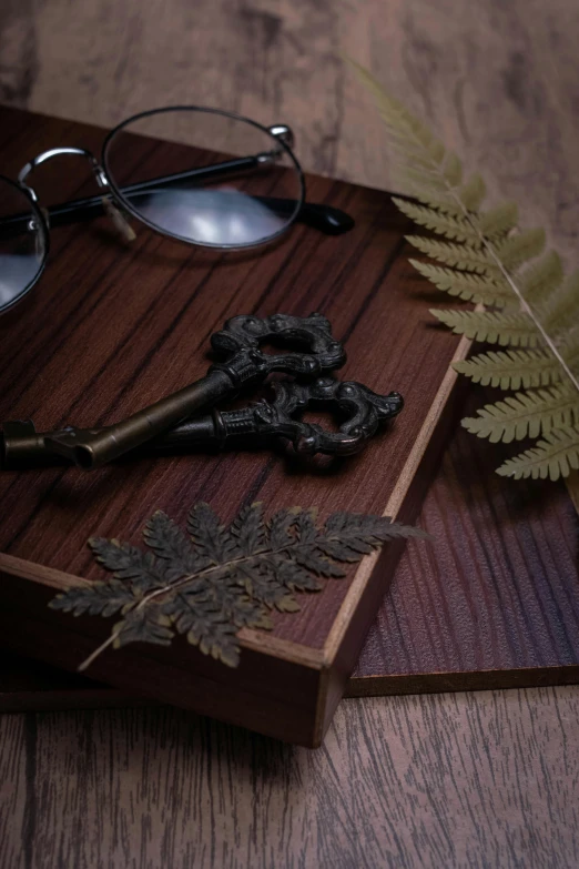 a pair of glasses sitting on top of a wooden table, inspired by Eden Box, kinetic art, pair of keys, fern, rich woodgrain, close up details