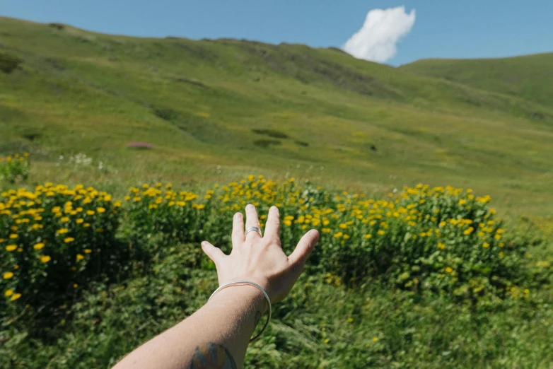 a person reaching up to catch a frisbee, an album cover, pexels contest winner, land art, vast lush valley flowers, hands with five fingers, background image, tourist photo