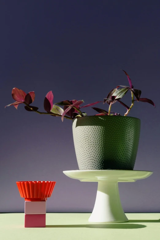 a potted plant sitting on top of a cake plate, inspired by Graham Forsythe, plasticien, rosenthal, red, uplight, muted green