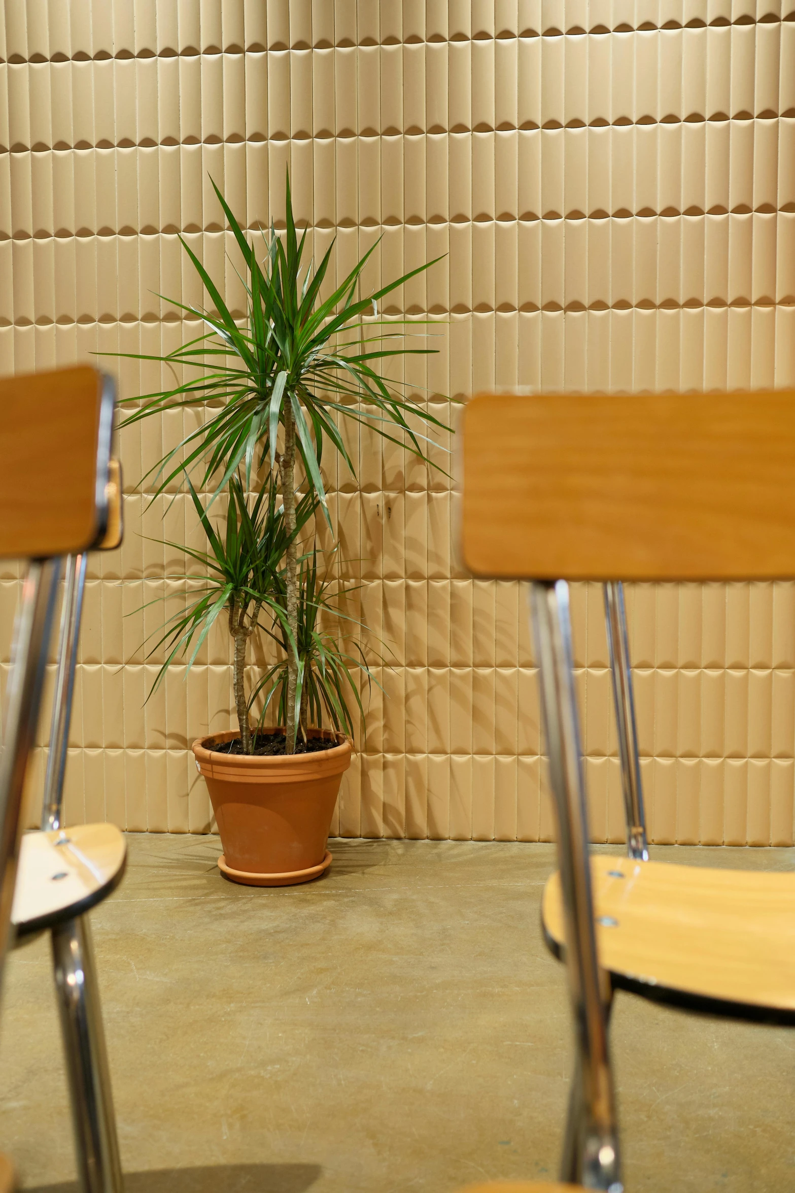 a couple of wooden chairs sitting next to a potted plant, by Yasushi Sugiyama, conceptual art, tiled, customers, panel, student