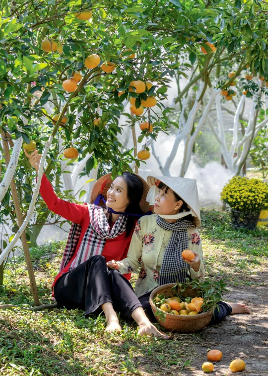 a couple of women sitting on top of a lush green field, inspired by Cui Bai, happening, oranges, exterior botanical garden, official photo, 2 5 6 x 2 5 6 pixels