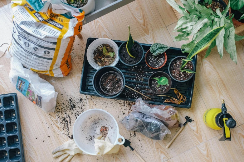 a wooden table topped with pots filled with plants, by Julia Pishtar, pexels contest winner, process art, pulling weeds out frantically, tins of food on the floor, flatlay, youtube thumbnail