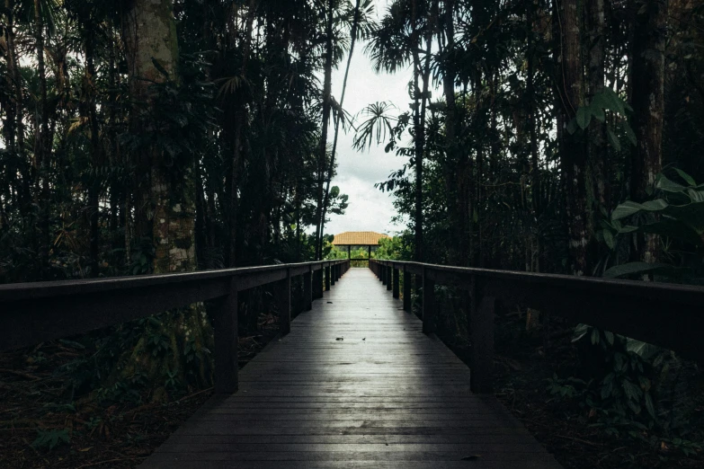 a wooden walkway in the middle of a forest, an album cover, unsplash, in marijuanas gardens, museum photo, porches, dark jungle