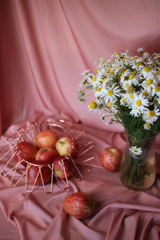 a vase of daisies and apples on a pink cloth, inspired by Elsa Bleda, shutterstock contest winner, ✨🕌🌙, shades of gold display naturally, sweet looks, pink arches