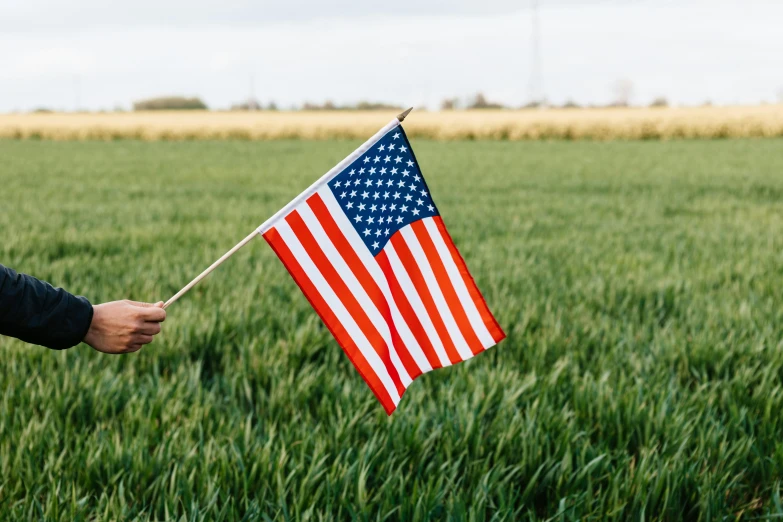 a person holding an american flag in a field, 🚿🗝📝, profile image, handheld, environmental