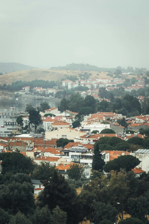 a view of a city from the top of a hill, inspired by Almada Negreiros, trending on unsplash, renaissance, landscape 35mm veduta photo, gray and orange colours, small port village, canvas