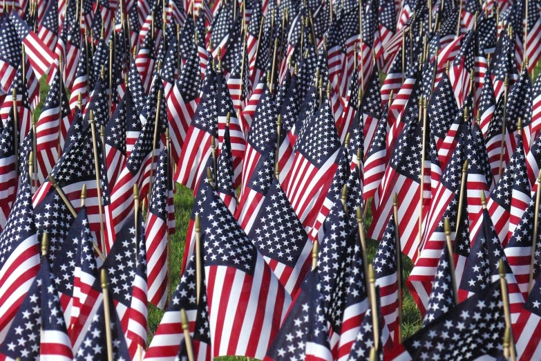 a field filled with lots of american flags, 2 5 6 x 2 5 6 pixels, up-close, promo image, award-winning