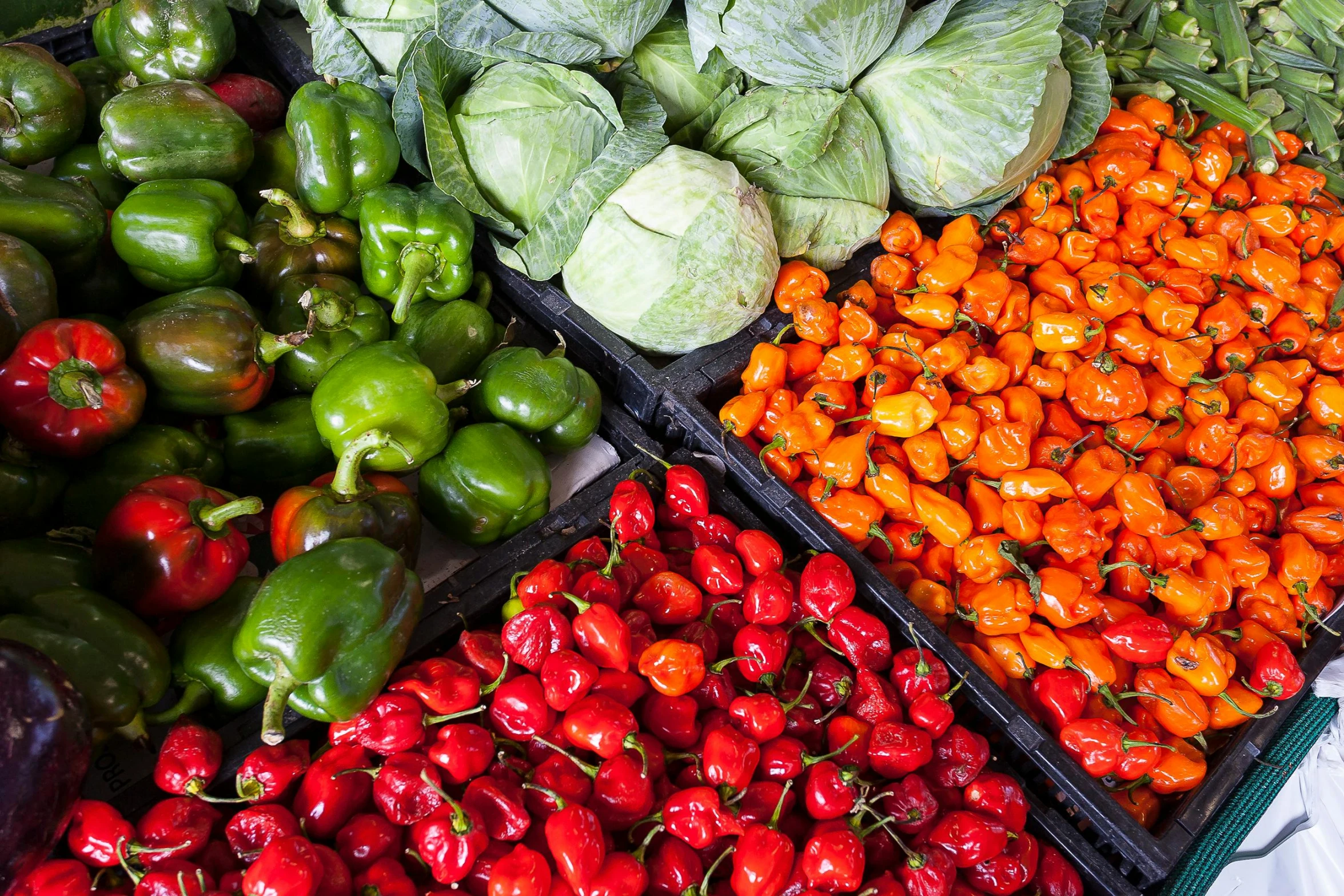 a table topped with lots of different types of vegetables, trinidad scorpion, inside a supermarket, profile image, fan favorite