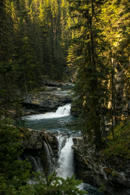 a river flowing through a lush green forest, hurufiyya, banff national park, next to a waterfall, low sun, bridges