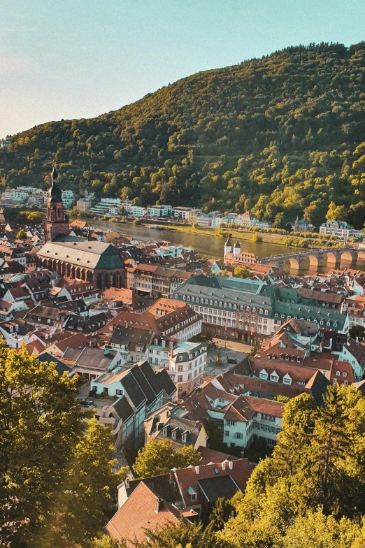 a view of a town from the top of a hill, by Tobias Stimmer, pexels contest winner, renaissance, building along a river, sunny light, professionally color graded, streets of heidelberg