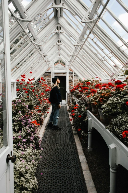 a woman walking down a walkway in a greenhouse, unsplash contest winner, red and white flowers, man standing, very wide view, crystal palace