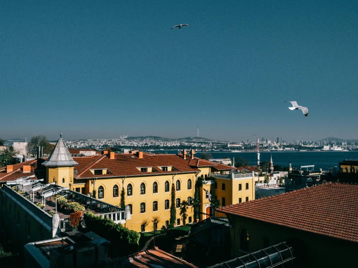 a bird flying over a city next to a body of water, turkish and russian, roof garden, unsplash photography, ottoman sultan