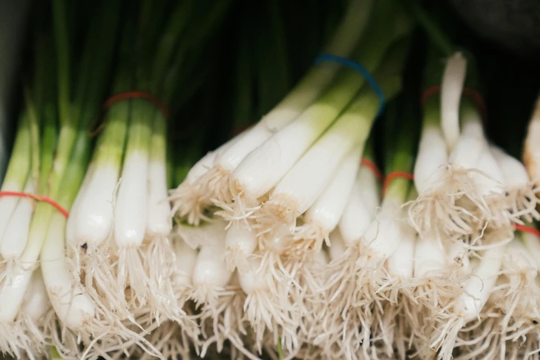 a bunch of onions sitting on top of a table, white fringy hair, square, thumbnail, green and white