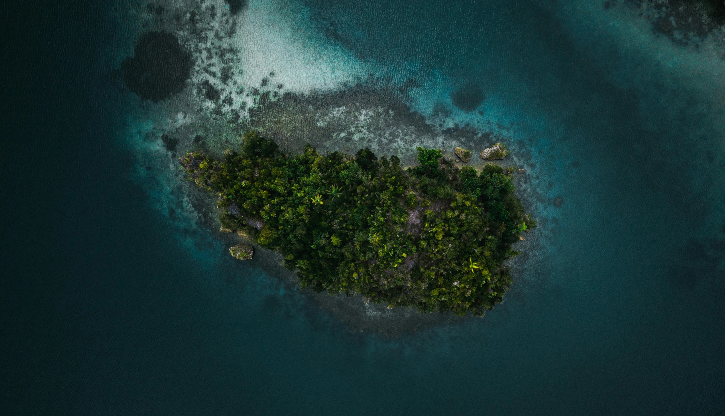 a small island in the middle of the ocean, pexels contest winner, visual art, thick jungle, thumbnail, 2 0 2 3, portrait photo