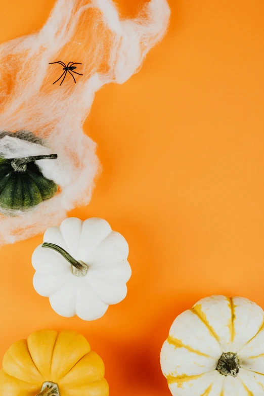 a group of pumpkins sitting on top of a table, dry ice, artificial spider web, thumbnail, flat lay