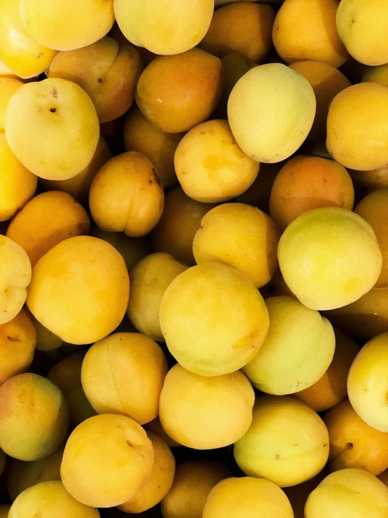 a pile of yellow apricots sitting on top of each other, 💣 💥💣 💥, cupertino, blush, olive