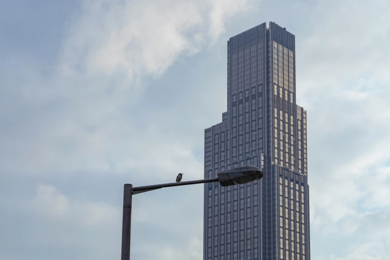 a bird sitting on a street light in front of a tall building, inspired by David Chipperfield, unsplash, brutalism, 2000s photo, billboard image, aardman studios, that is 1300 feet tall