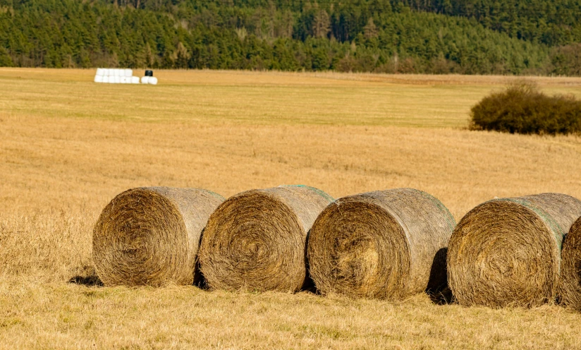 hay bales in a field with a barn in the background, pexels contest winner, land art, brown, 6 pack, round format, australian