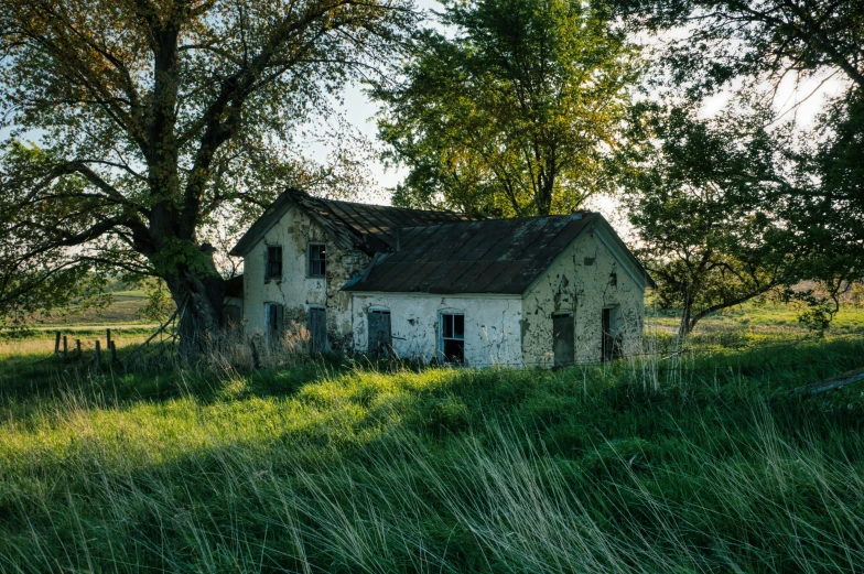 an old house sitting in the middle of a field, inspired by Elsa Bleda, pexels contest winner, overgrown with trees, prairie, background image, cottage core