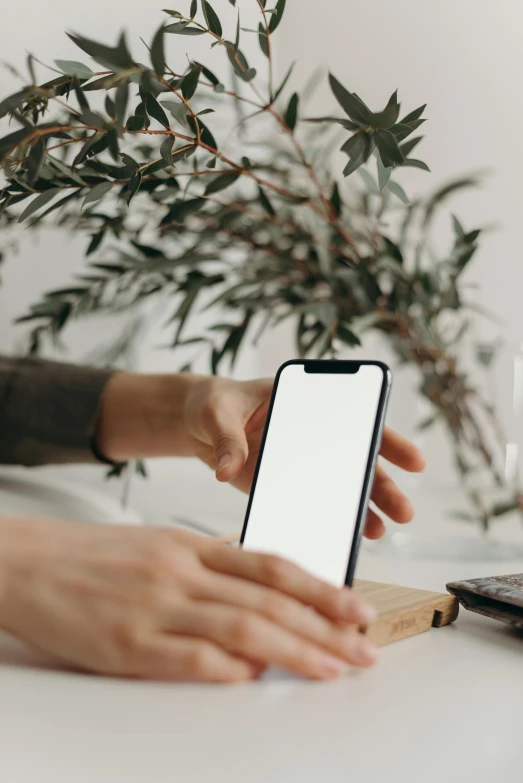 a person sitting at a table with a laptop and cell phone, trending on pexels, happening, creating a thin monolith, next to a plant, no - text no - logo, corporate phone app icon