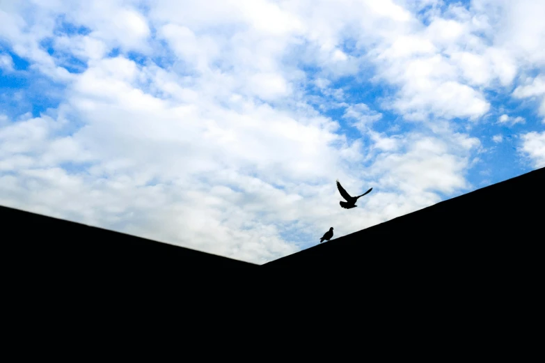 there is a bird that is flying in the sky, by Lucia Peka, pexels contest winner, minimalism, high shadow, islamic, close together, today\'s featured photograph 4k