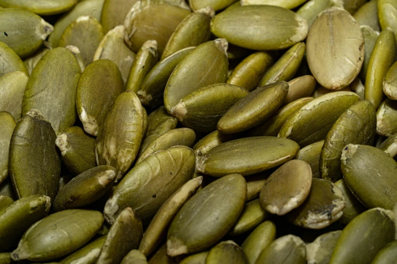 a close up of a pile of pumpkin seeds, renaissance, green: 0.5, thumbnail, premium quality, aged 2 5