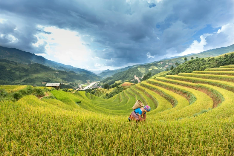 a couple of people standing on top of a lush green field, terraced, avatar image, vietnamese woman, stacked image