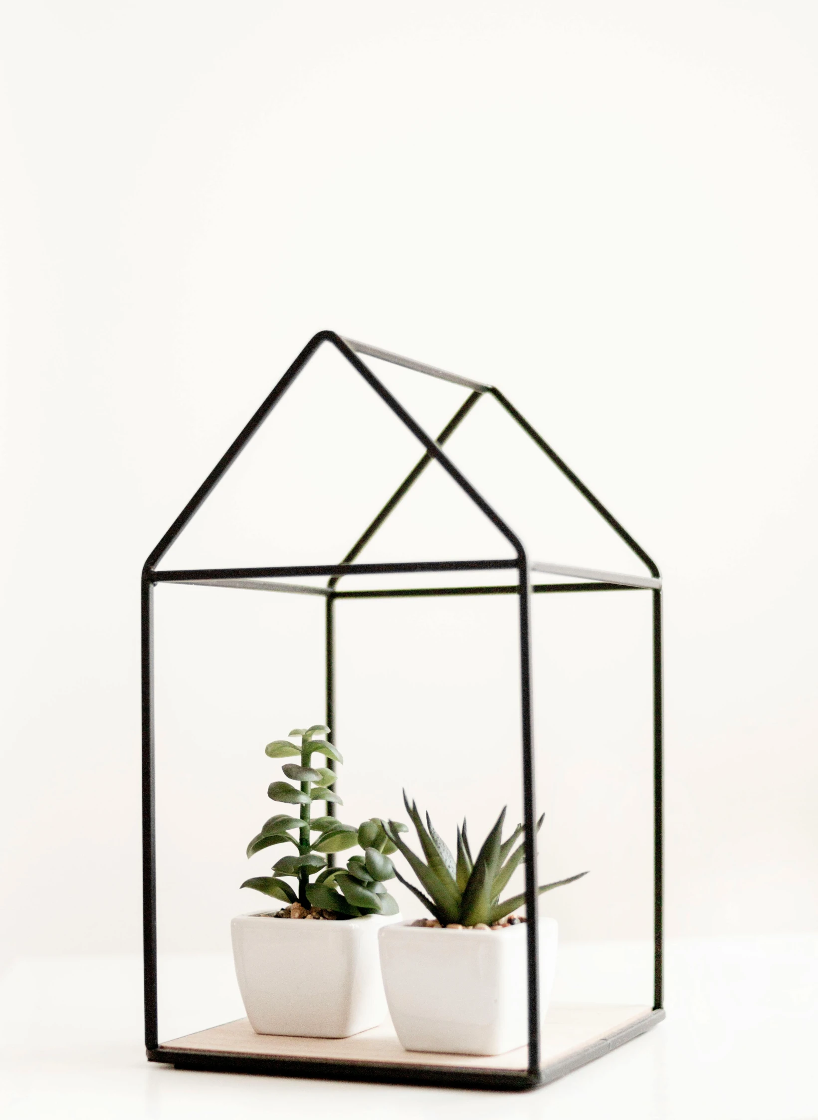 a house shaped planter sitting on top of a table, minimalism, iron frame, thumbnail, greenhouse, profile image
