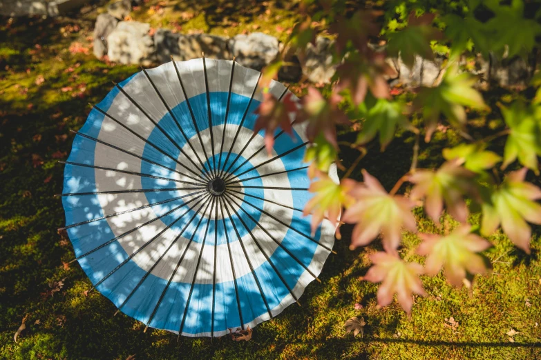 a blue and white umbrella sitting on top of a lush green field, inspired by Kanō Shōsenin, unsplash, ukiyo-e, autum garden, photograph from above, sun lit, product introduction photo