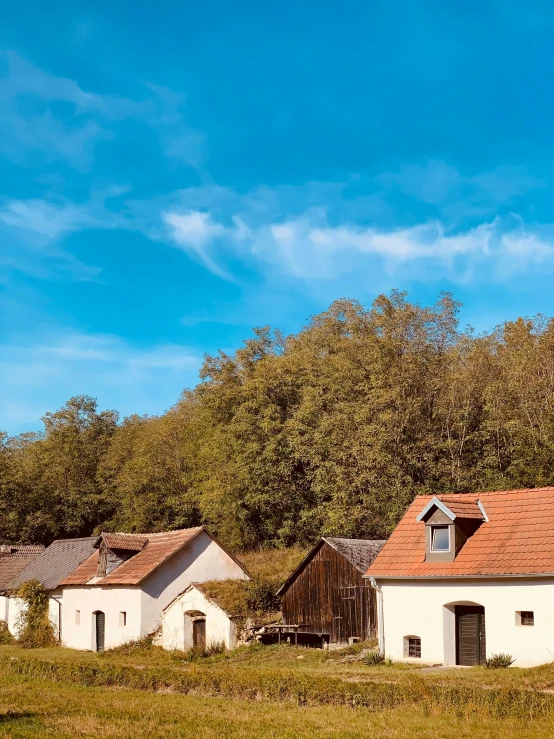 a couple of houses sitting on top of a lush green field, maison laffite, cosy atmoshpere, phot, barn