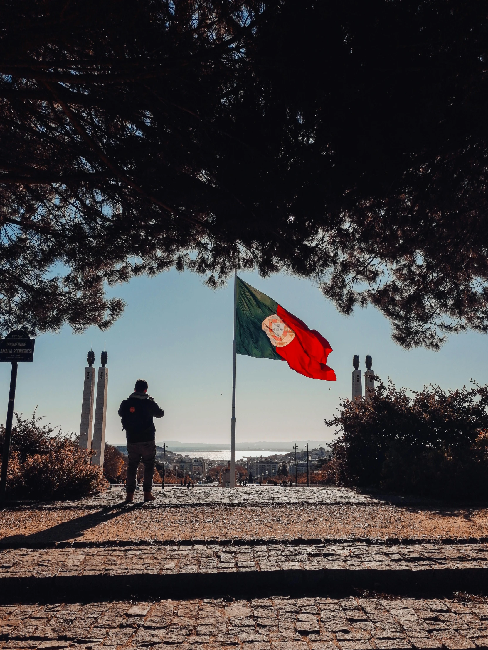 a person standing under a tree next to a flag, a picture, inspired by Almada Negreiros, pexels contest winner, looking over city, low quality photo, nazare (portugal), profile image