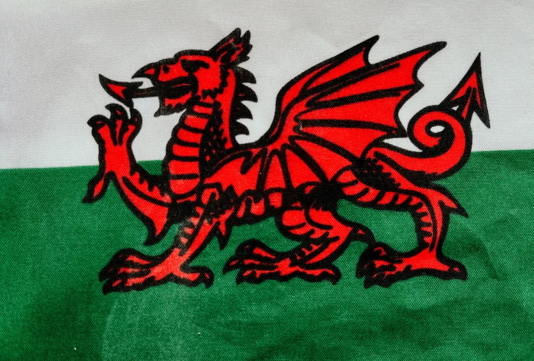 a red dragon sitting on top of a green field, inspired by Bedwyr Williams, shutterstock, welsh flag, on a sumptuous velvet tablecloth, medium close up, fabric