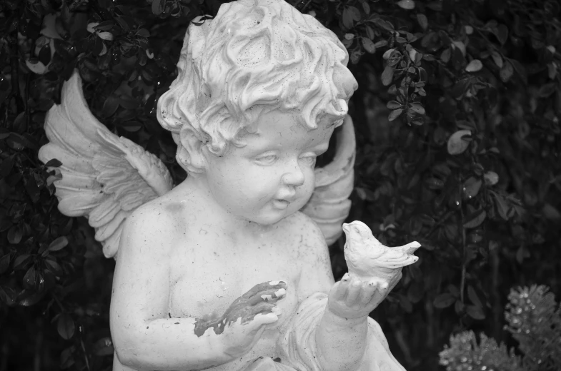 a statue of an angel holding a bird, a statue, by Marie Angel, fine art, black an white, cutest, nature photo, in garden