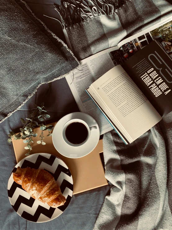 an open book sitting on top of a bed next to a cup of coffee, a picture, by Lucia Peka, unsplash contest winner, happening, grey and dark theme, on a sumptuous velvet tablecloth, snacks, detailed product image