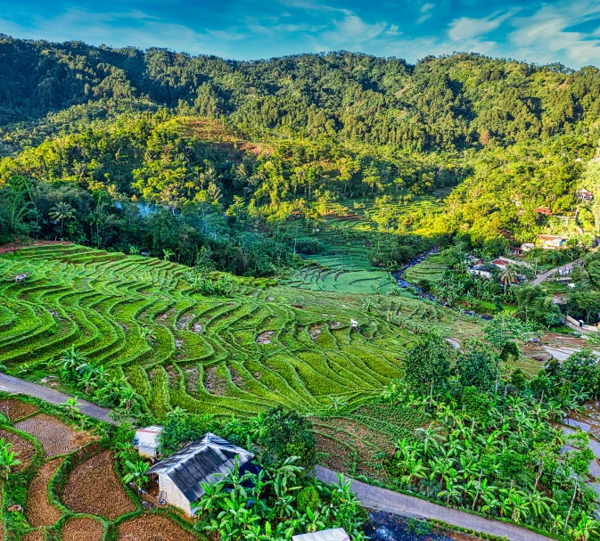 an aerial view of a rice field with mountains in the background, pexels contest winner, tribe huts in the jungle, panoramic, ja mong, thumbnail