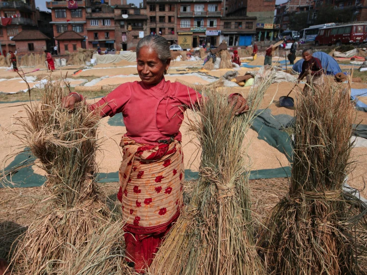 a woman standing next to a pile of dry grass, busy market, avatar image