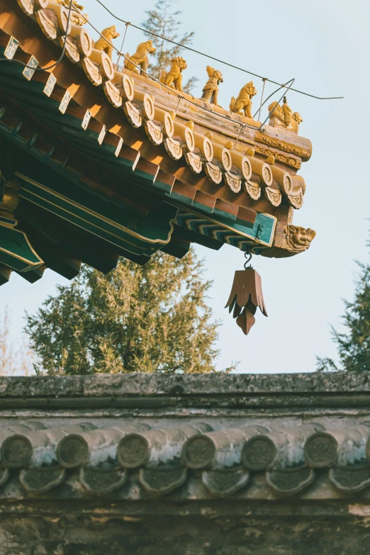 a bird is perched on the roof of a building, inspired by Wu Wei, trending on unsplash, cloisonnism, hanging upside down from a tree, castles and temple details, golden hour in beijing, parapets
