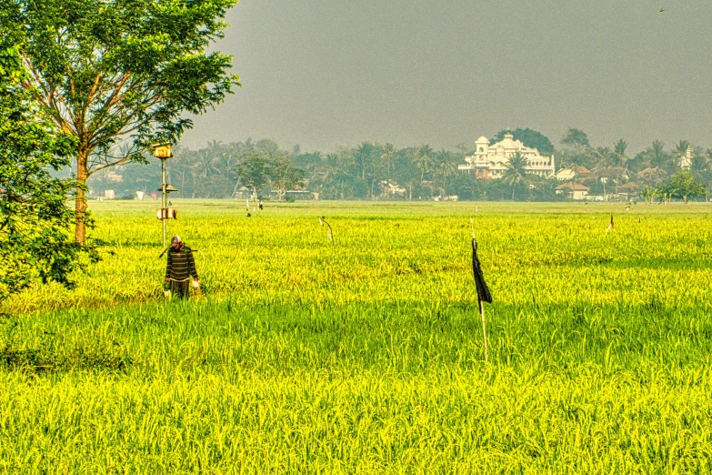 a person riding a horse through a lush green field, by Sudip Roy, flickr, sumatraism, buildings in the distance, rice paddies, patches of yellow sky, panoramic