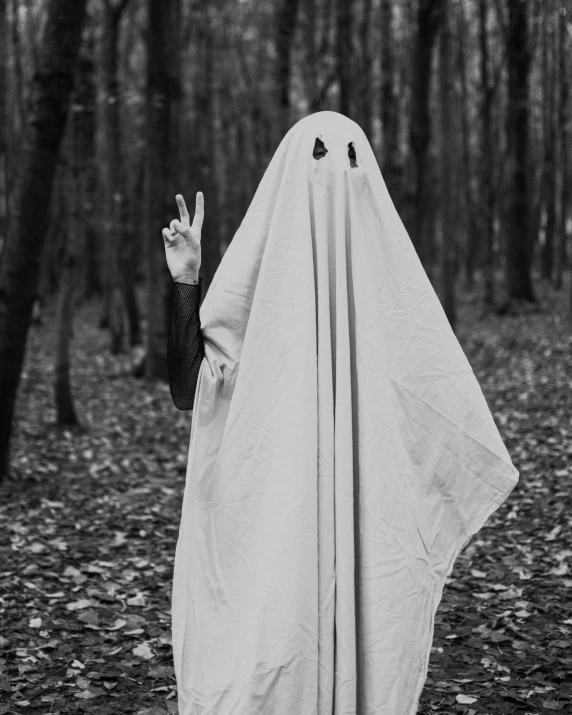 a person in a ghost costume standing in the woods, a black and white photo, pexels, wave a hand at the camera, white cloth, 💣 💥, white head