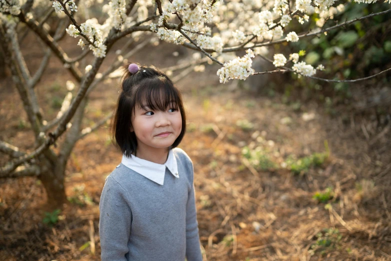 a little girl standing in front of a blooming tree, pexels contest winner, shin hanga, avatar image, gray, young cute wan asian face, medium format. soft light