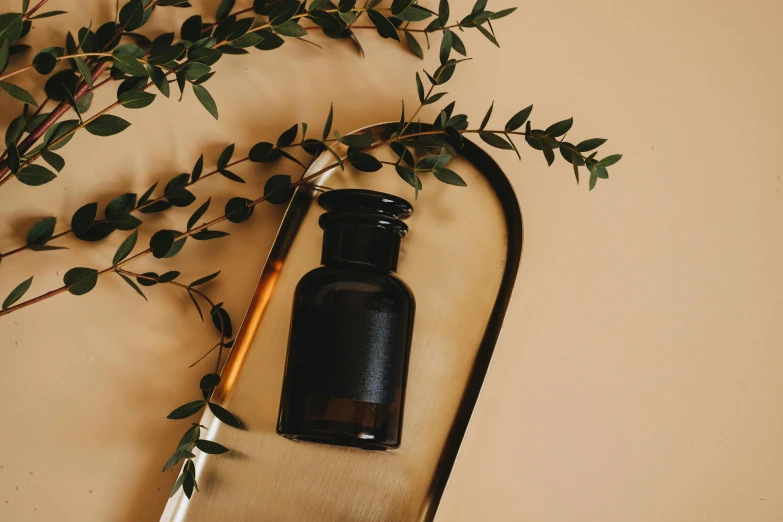 a bottle sitting on top of a table next to a brush, trending on pexels, aestheticism, botanical background, curving black, oud, romantic lead