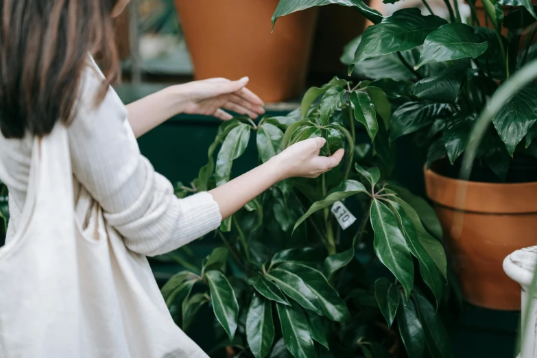 a woman standing in front of a potted plant, by Nicolette Macnamara, pexels contest winner, inspect in inventory image, twisting leaves, lush green, holding an epée