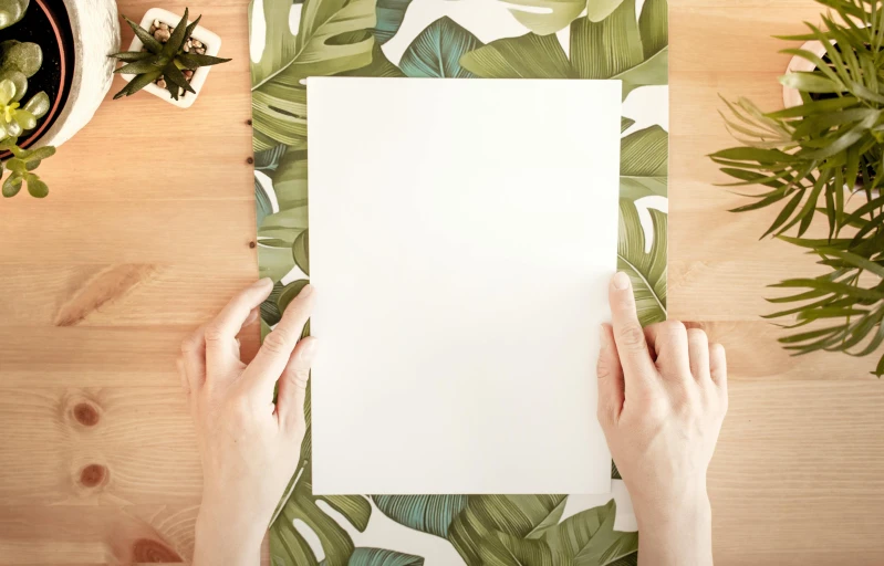 a person holding a piece of paper on top of a table, inspired by Art Green, trending on unsplash, elegant tropical prints, background is white and blank, no - text no - logo, paper border