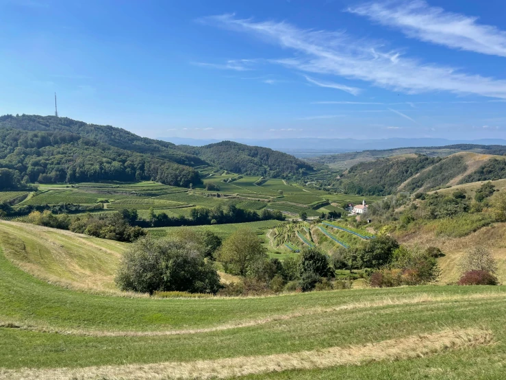 a view of the countryside from the top of a hill, pexels contest winner, les nabis, an idyllic vineyard, hills in the background, in between a gorge, slide show