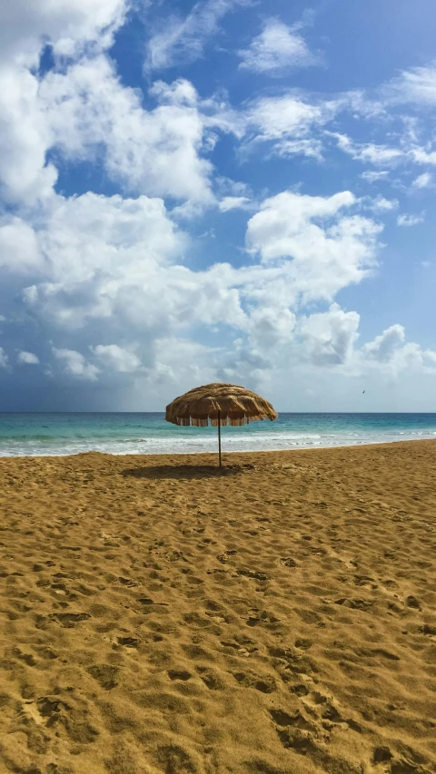 an umbrella sitting on top of a sandy beach, unsplash, renaissance, puerto rico, square, unedited, gif